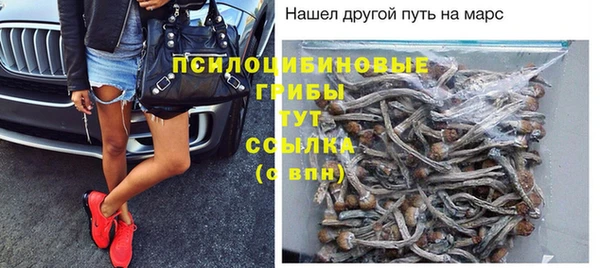 дживик Алексеевка