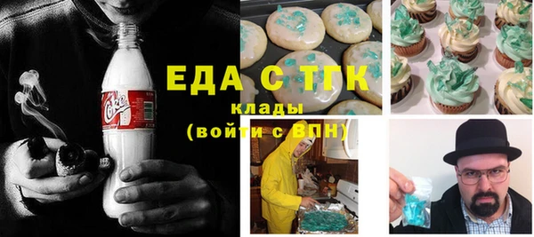 хмурый Алексин