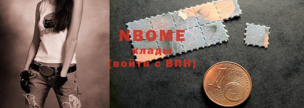 хмурый Алексин